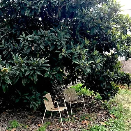 Casa Tía Ines Сasa de vacaciones